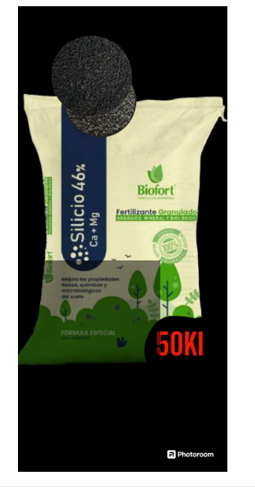 SILICIO 46